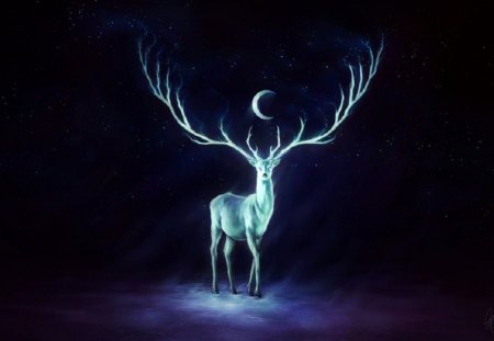 Night Bringer - sanguisgelidus, night bringer, stars, deviant art, night, antlers, deer