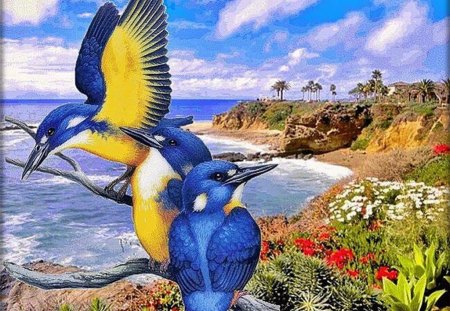 Painting Birds - painting, yellow, blue, colorful flowers, colorful birds, bough, sea, rocks