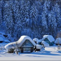 Snow covered cabins