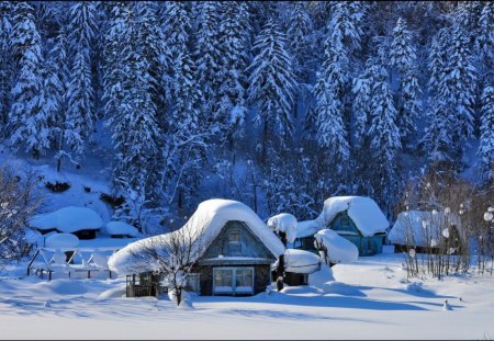 Snow covered cabins - pretty, calm, cabin, snow, forest, mountain, frost, nice, cottage, house, winter, beautiful, snowy, lovely, icy, village, ice, frozen, nature, serenity, peaceful