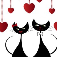 Valentine Cats