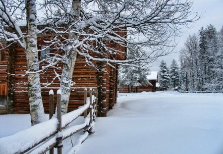 Old cottage - pretty, cabin, snow, calmness, path, nice, cottage, house, trees, winter, beautiful, snowy, lovely, wooden, nature, cold, serenity, peaceful, log cabin