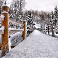 Winter walkway