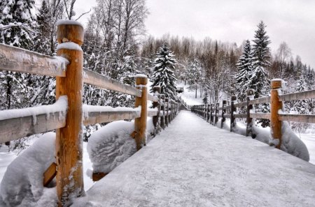 Winter walkway - nice, trees, pretty, cold, walk, frozen, bridge, snowy, fence, winter, lovely, nature, forest, walkway, frost, snow, beautiful