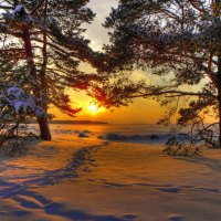 Wintry sunset