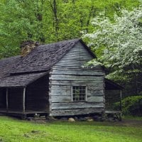 house wood tree