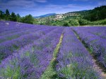 Provence, France