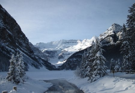 View of the mountains at Lake Louise - white, trees, snow, photography, mountains