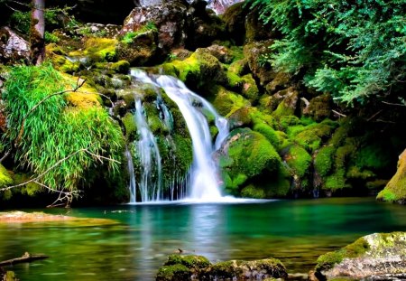 Forest Waterfall - forest, pool, waterfall, rocks