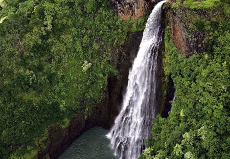 Forest Waterfall - Trees, River, Forest, Waterfall