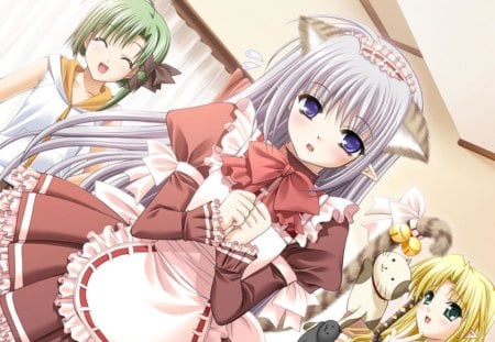 shuffle waitress - video game, anime, asa shigure, manga, primula