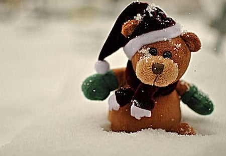 Teddybear - cap, winter, snow, teddy