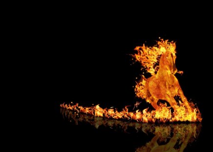 Fire Horse - black, fantasy, animal, fire, flame, orange, art, horse