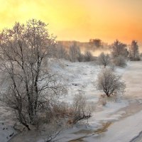 Winter Morning