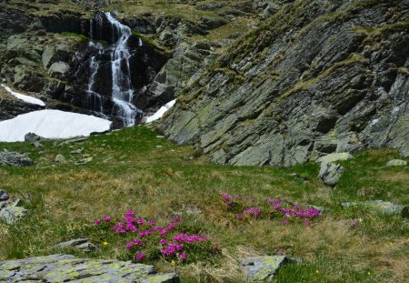 Waterfall in the mountains - nature, mountain, waterfall, rocks