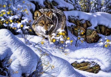 Winter guard - guard, eyes, winter, guardian, wolf, painting, forest, cold, frost, snow, beautiful, leaves, snowy