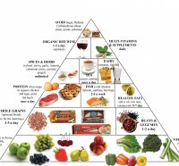 ≡  Food Pyramid ≡