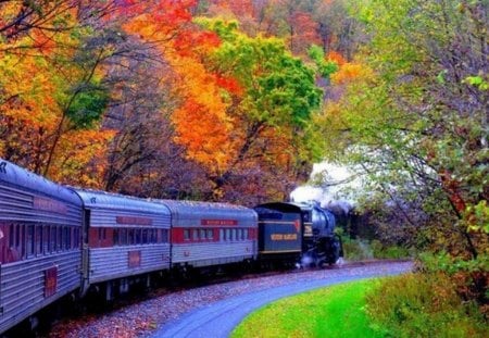 colorful Autumn - train, colorful, autumn, forest