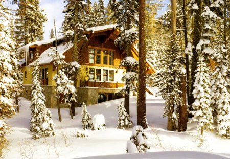 Tyrolean sky cabin - nice, cottage, sky, slope, trees, hotel, pretty, cold, log, house, frozen, snowy, ice, mountain, winter, lovely, nature, forest, snow, beautiful, frost, rest, cabin