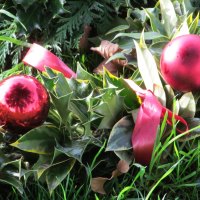 Reflections of Christmas