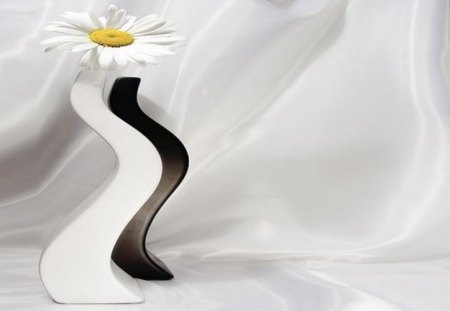 daisy in vase - daisy, black, vase, white