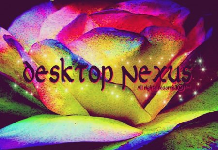 Rainbow Desktop Nexus - site, desktop nexus, world, friendships, creations, colors, rainbows