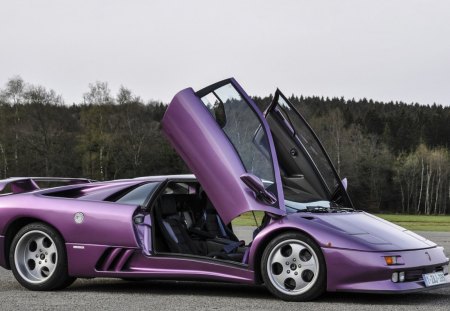 lamborghini - purple, sports, road, lamborghini