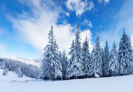 Winter Landscape - beauty, cottage, sky, trees, peaceful, mountains, view, winter time, clouds, tree, snowy, landscape, winter, lovely, nature, beautiful, snow, splendor