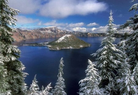 Winter view - pine trees, winter, snow, rock, landscape, river, ice, view, frost, nice