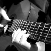 Acoustic Guitar