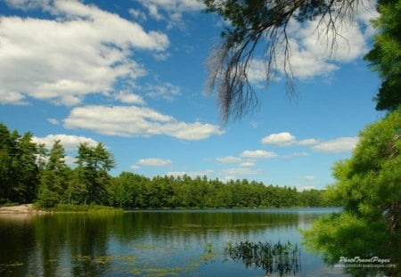 Once again I remember the summer - lake, field, nature, summer