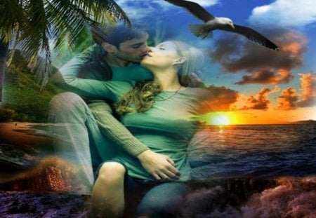 Romantic Love - woman, love, hug, palm trees, beach, men, sunset, seagull, romantic love, kiss, sea