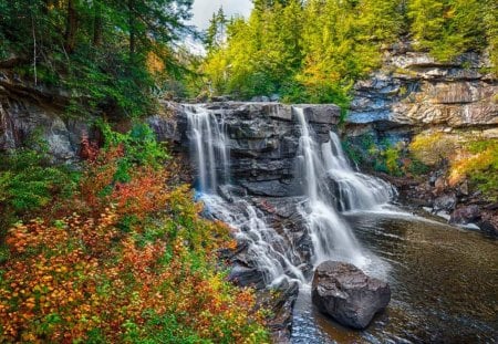 Blackwater falls - nice, falling, water, summer, lovely, waterfall, rocks, blackwater, nature, fall, forest, pretty, beautiful, flowers, stones