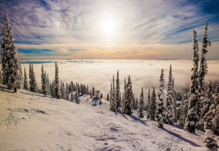 Sunset - snow, winter, sunset, nature