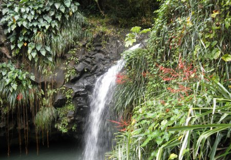 Waterfalls in Grenada Island - nature, photography, red, green, waterfalls