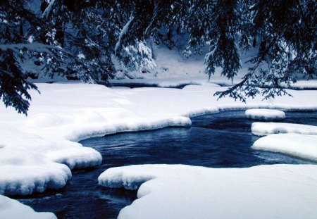 Winter - winter, water, blue, snow, forest, tree, aqua, river, ice, white, nature, view, cold, lake