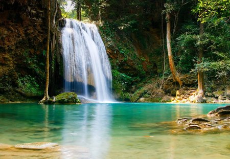 Waterfalls - Water, animal, Nature, falls, Jungle, forest, leaf