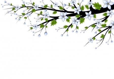 Spring In Bloomâ™¥ - early, love, heavenly, fresh, bloom, branch, wonderful, spring, pure, nature, white, forever, green, energy