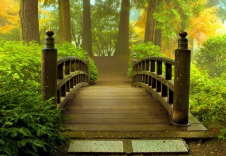 Japanese bridge - greenery, pretty, trees, summer, beautiful, forest, lovely, river, wooden, nice, bridge, japanese