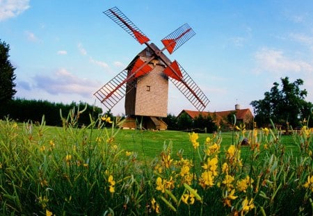 Windmill - meadow, pretty, greenery, wind, beautiful, flowers, mill, windmill, grass, sky, nice, lovely, field, nature, green