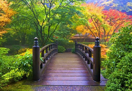 Wooden bridge - nice, trees, wooden, colorful, summer, japanese, lovely, nature, forest, pretty, beautiful, river, bridge