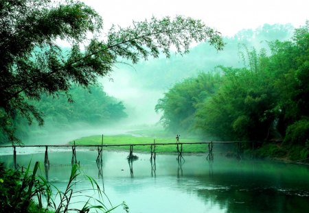 RIVER BRIDGE - river, nature, bridge, mist