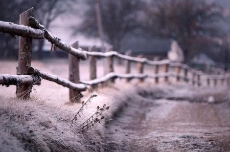 fence in focus - grass, winter, fence, focus