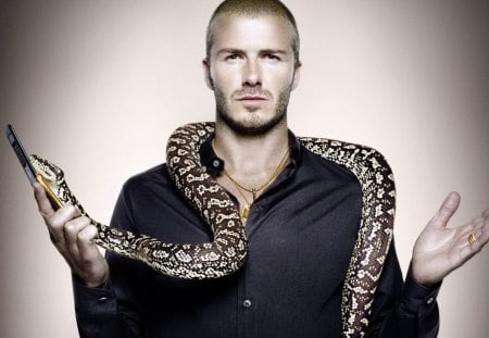 The Bold & The Dangerous - snake, hot, Beckham, David, male model, sexy