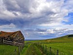 old house in field