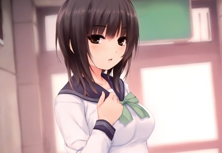 Anime - anime, anime girl, original, school girl