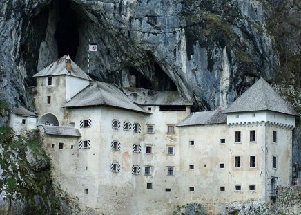 Predjama Castle in Slovenia - predjama, slovenia, tree, castle