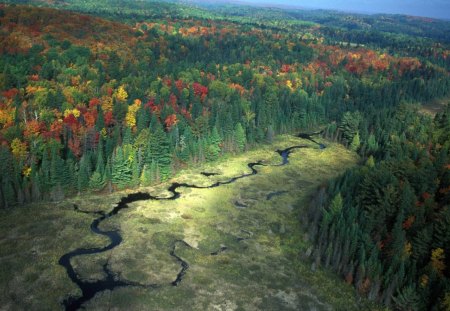 snake river in the forest - forest, view, river, autumn