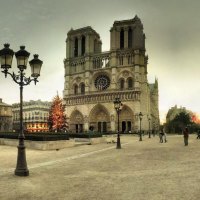 christmas at notre dame cathedral