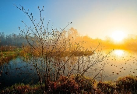 morning dawn prairie - lake, tree, sun, dawn